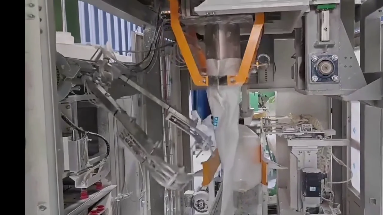 Automatic bagging equipment and conveyor in a customer-site recording